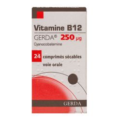 Vit Gerd B12 Cpr 250 24