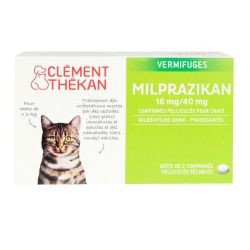 Clement Milprazikan Chat 2Cp
