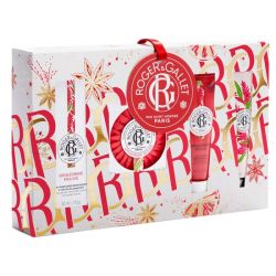 Gingembre coffret noël