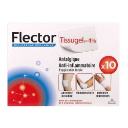 Flector Tissugel 10 Empl