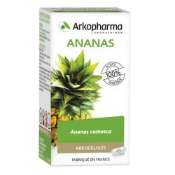 Arkog Ananas Tige /45