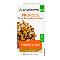 Arkog Propolis Bio Gelul 40