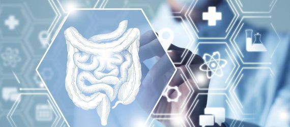 Le cancer colorectal : prévention, symptômes et traitements