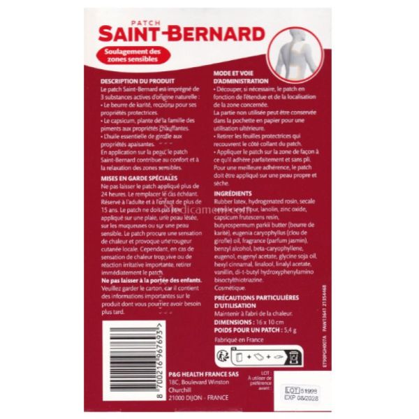 Patch Saint Bernard /3