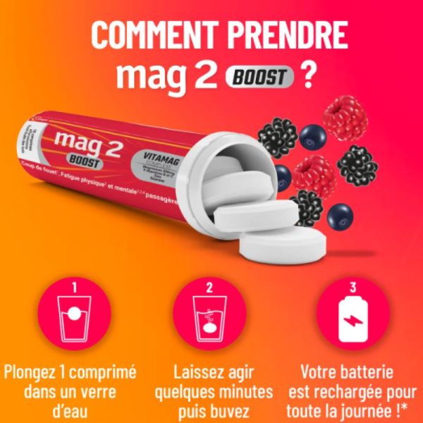 Mag 2 boost 20 cp goût fruits des bois