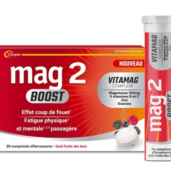 Mag 2 boost 20 cp goût fruits des bois