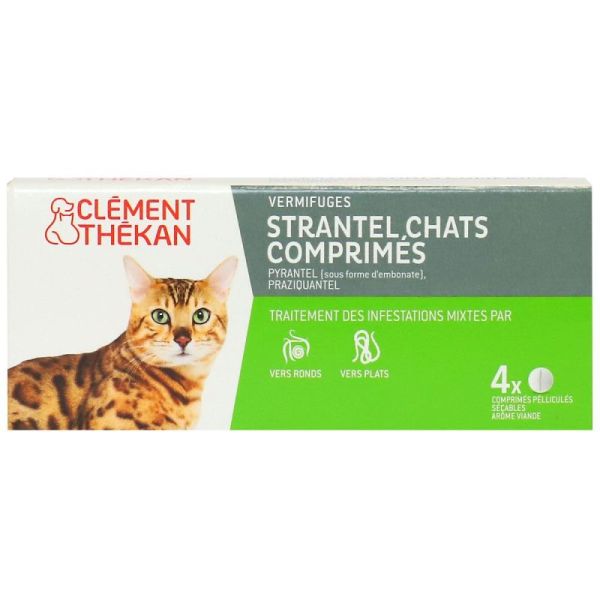 Clement Strantel Chat /4
